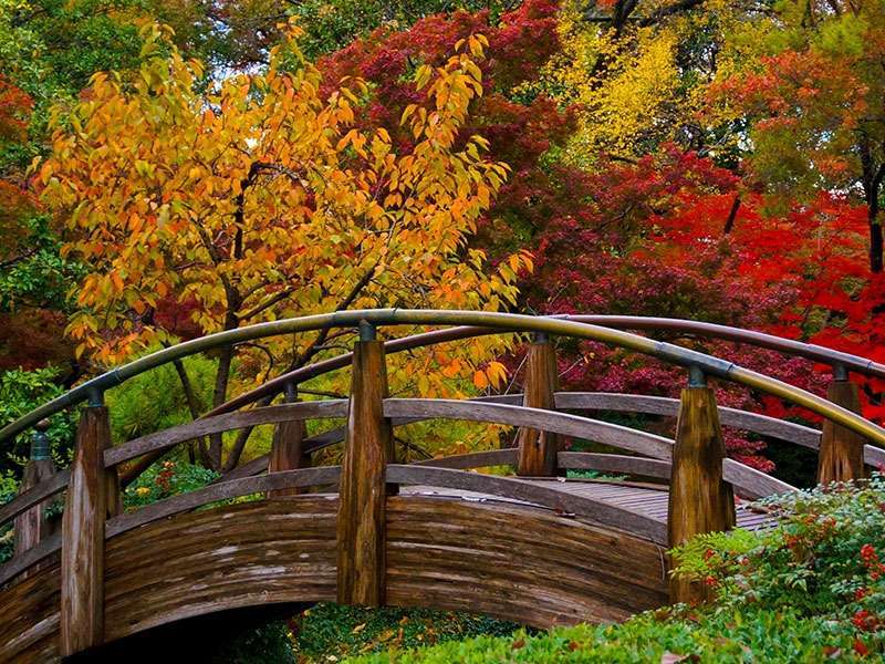 Fort Worth Japanese Garden